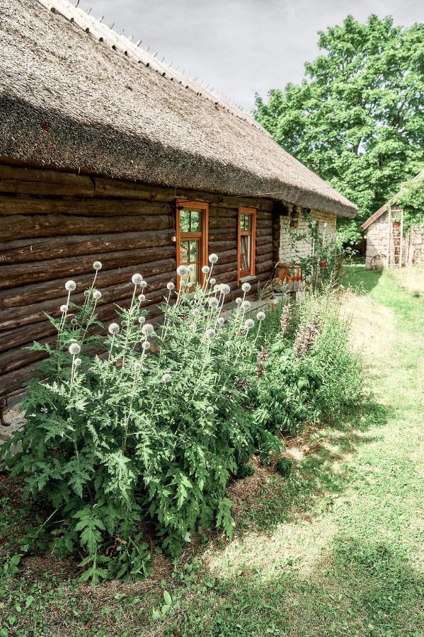 Matsi Cottage Igaküla Eksteriør billede