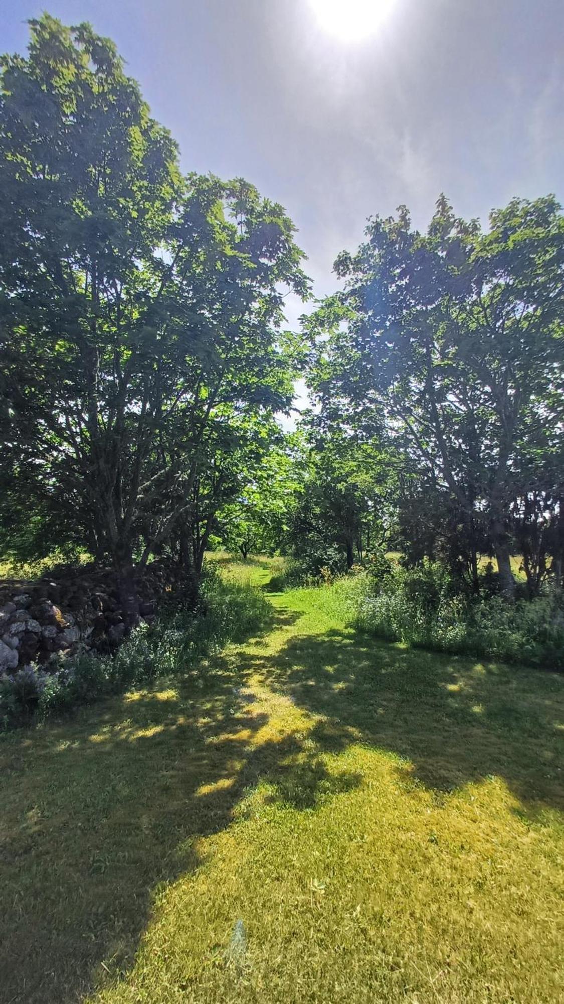 Matsi Cottage Igaküla Eksteriør billede